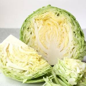  春キャベツ 