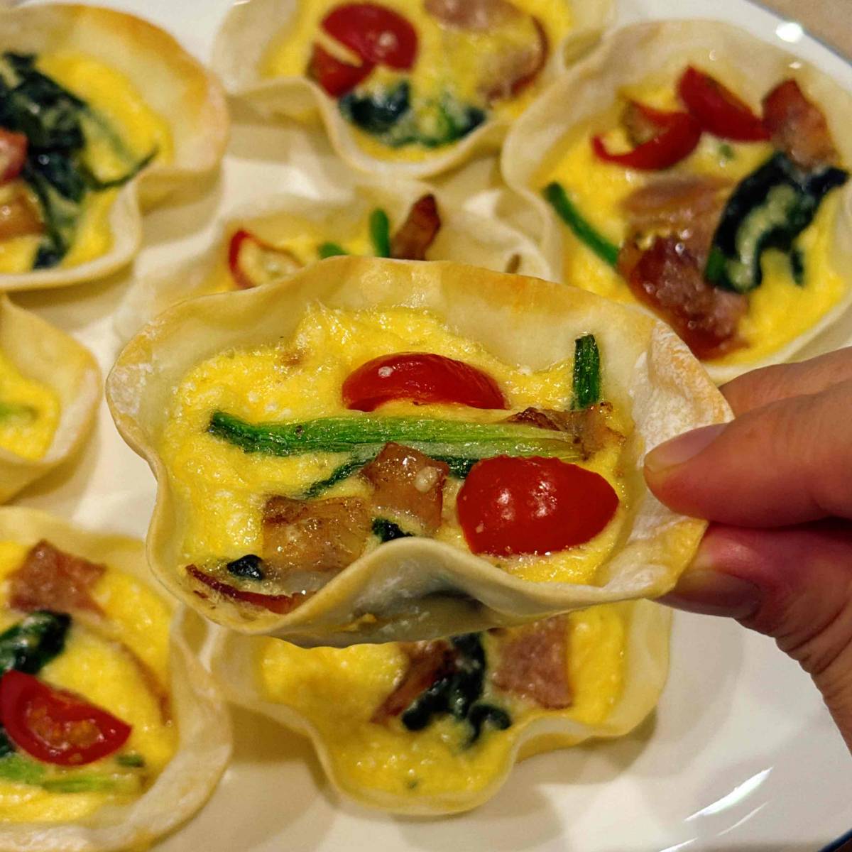 モランボン公式の「餃子の皮で!?手づくりキッシュ」のレシピ