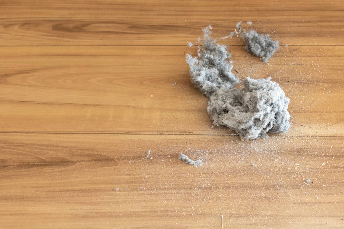 階段　出世運　下がる　ほこり
