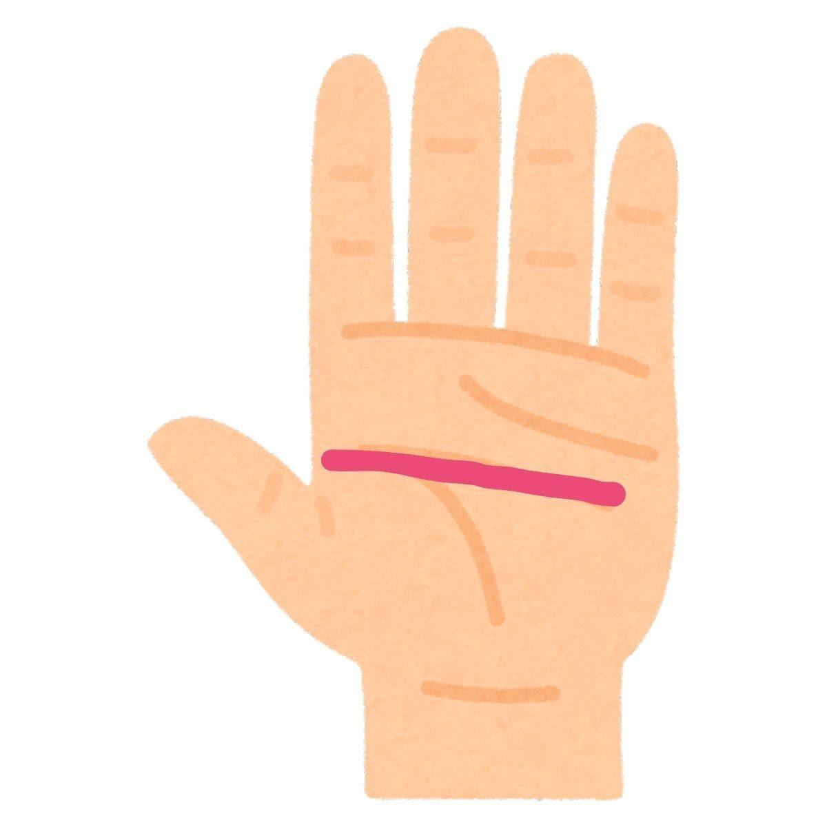 まっすぐな知能線