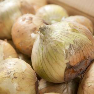 また作っちゃったわ……。切って煮込むだけの「新玉ねぎ」の簡単レシピ