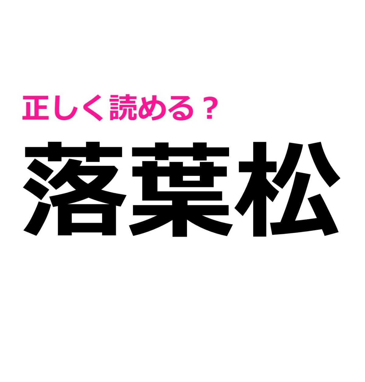 落葉松