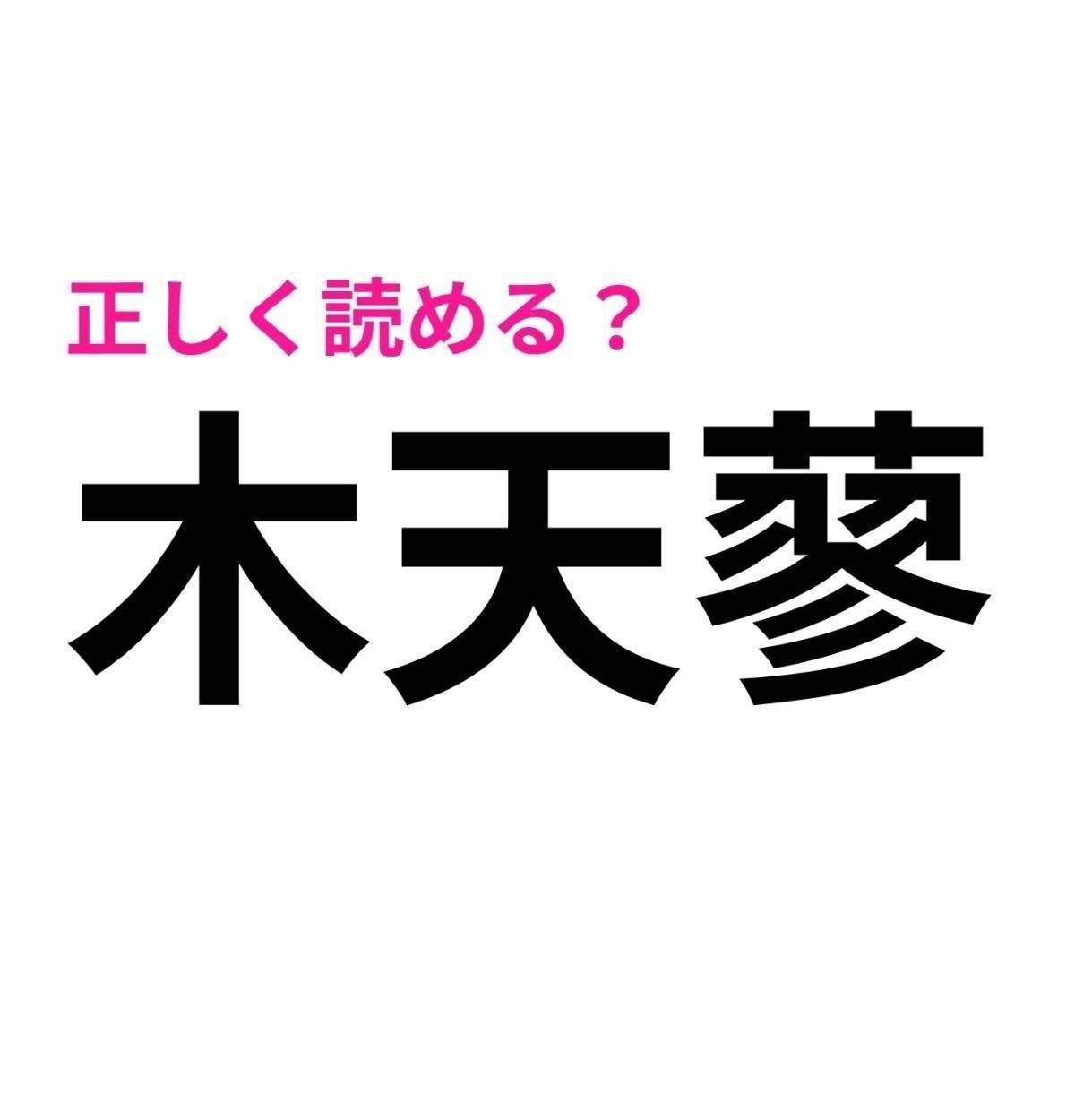 木天蓼