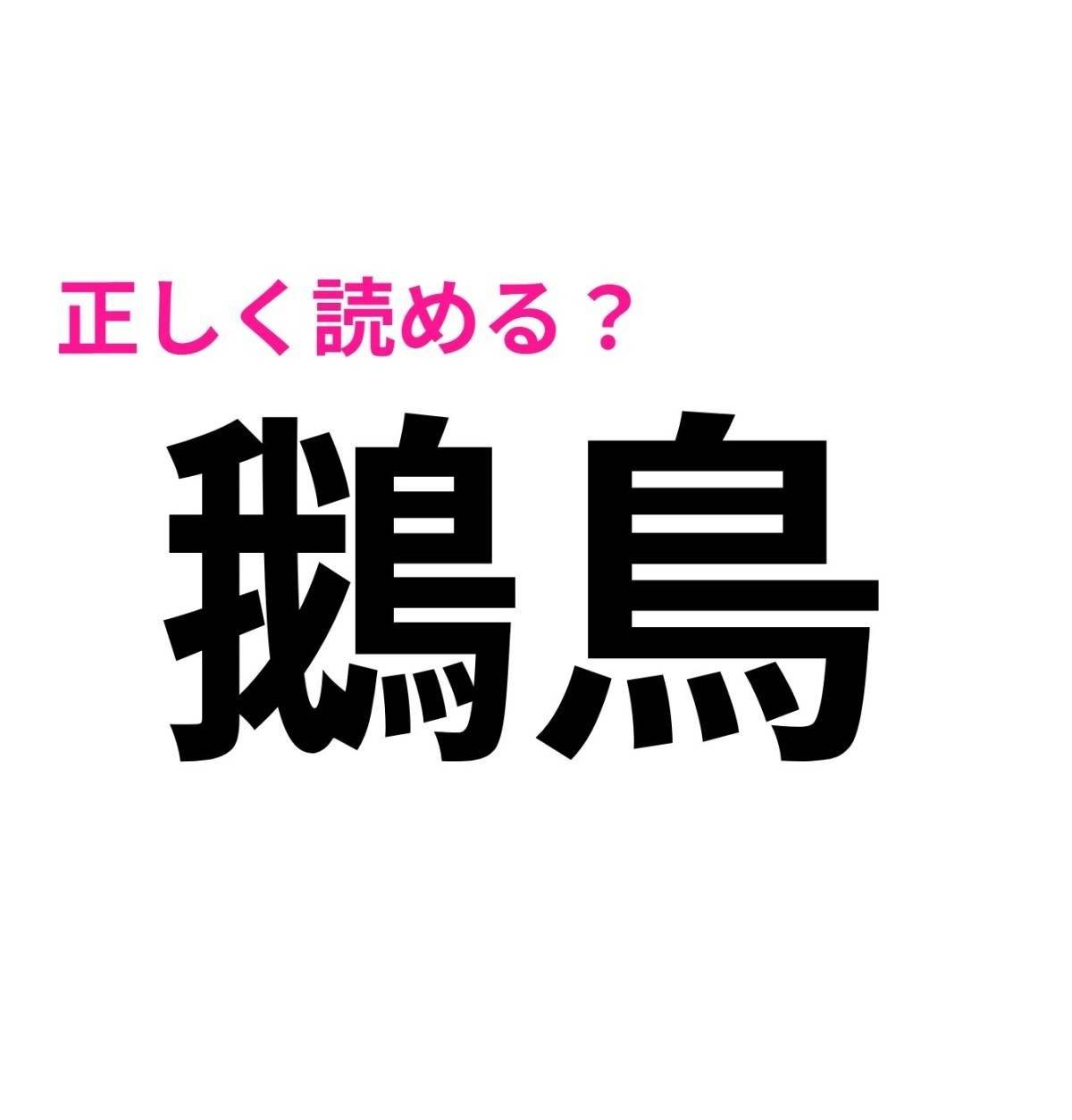 鵝鳥