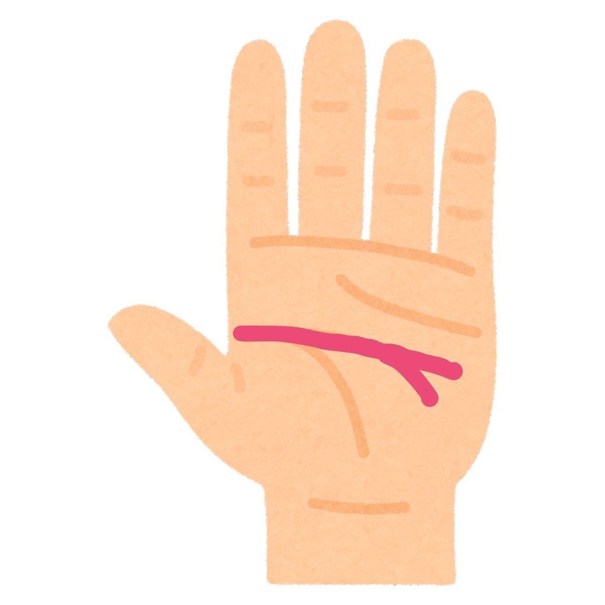 枝分かれしている頭脳線(知能線)