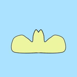  「夏の好きなところ」が分かる診断 
