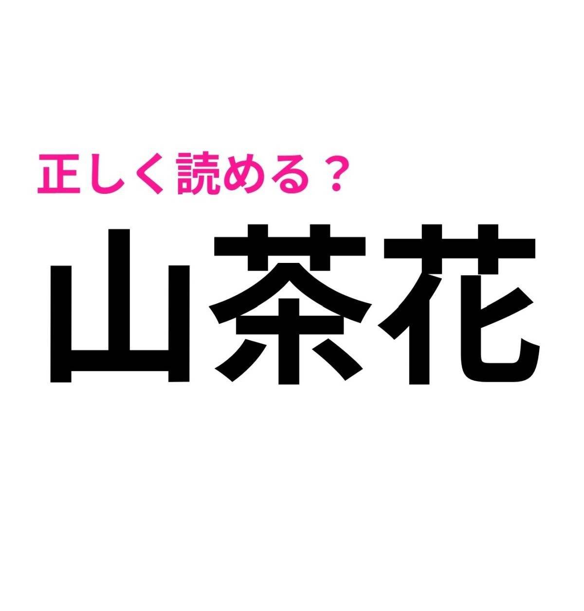 山茶花