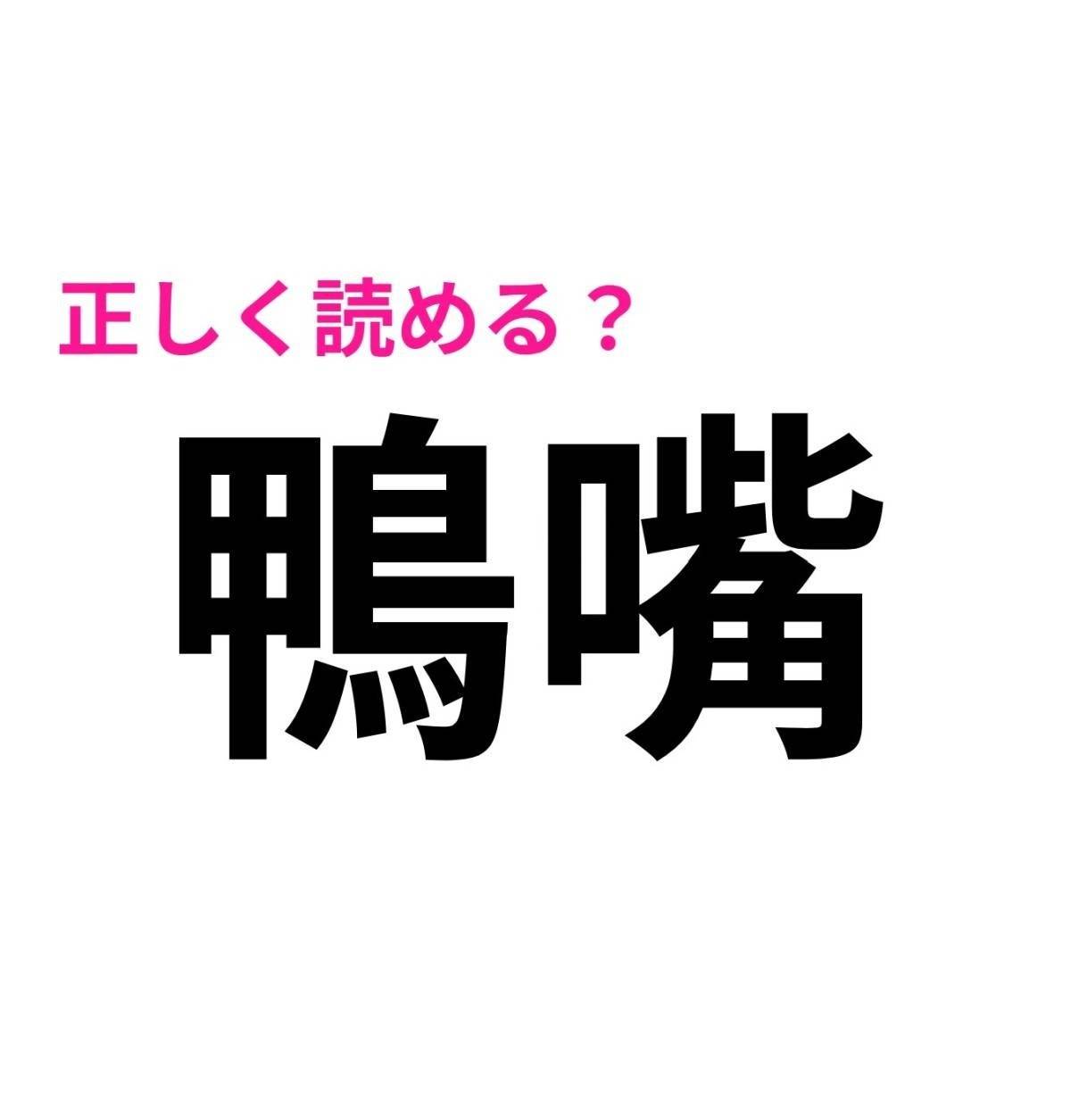 鴨嘴
