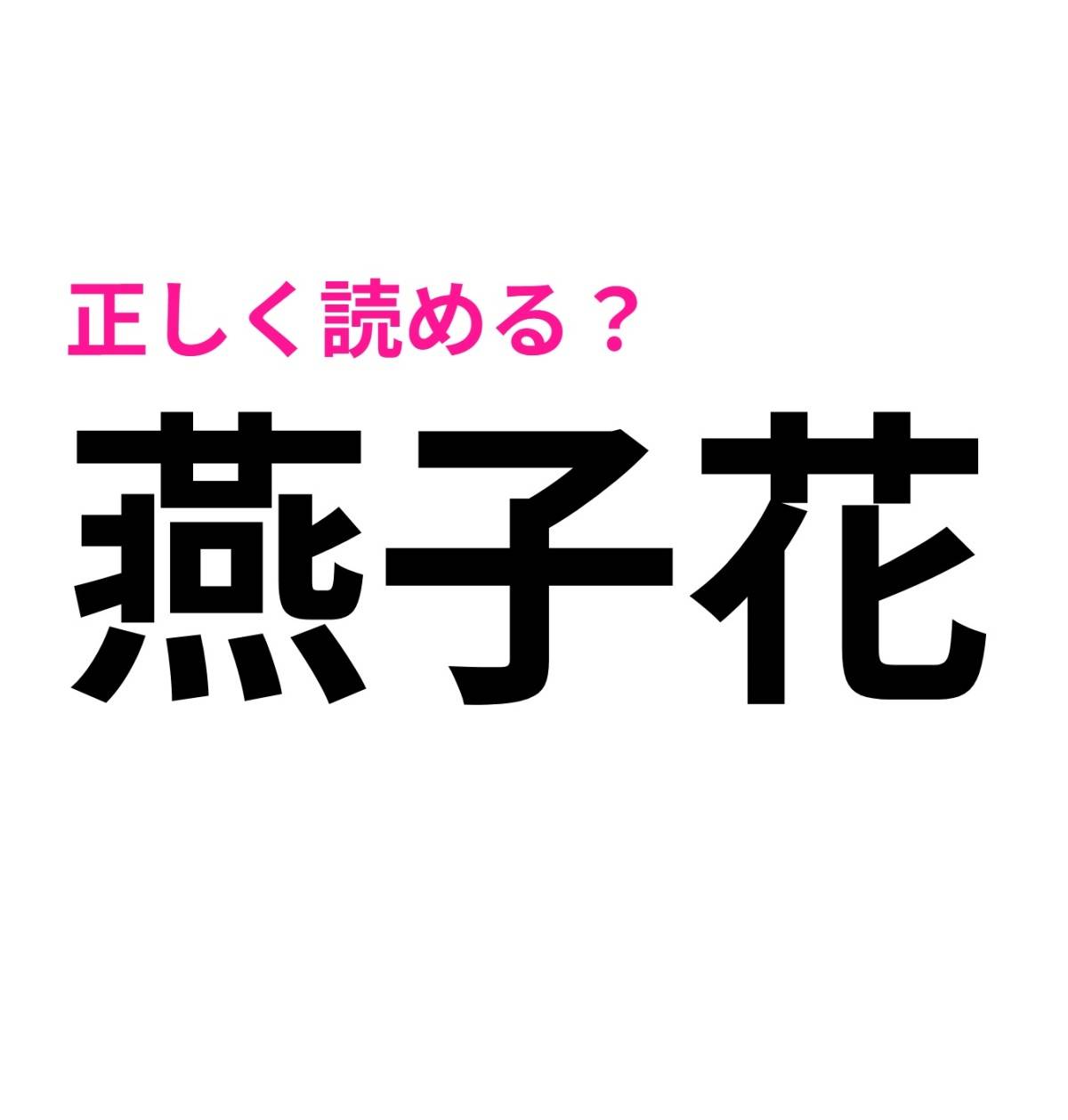 燕子花