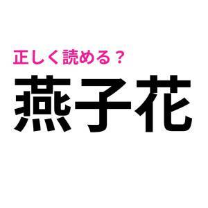 さらっと読めた人、すさまじくIQ高いよ……。頭を悩ます難読漢字7選
