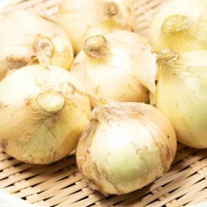 もっと早く知りたかった……。「新玉ねぎ」がべらぼうに旨くなるレシピ
