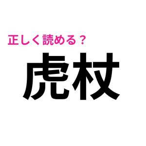  虎杖 