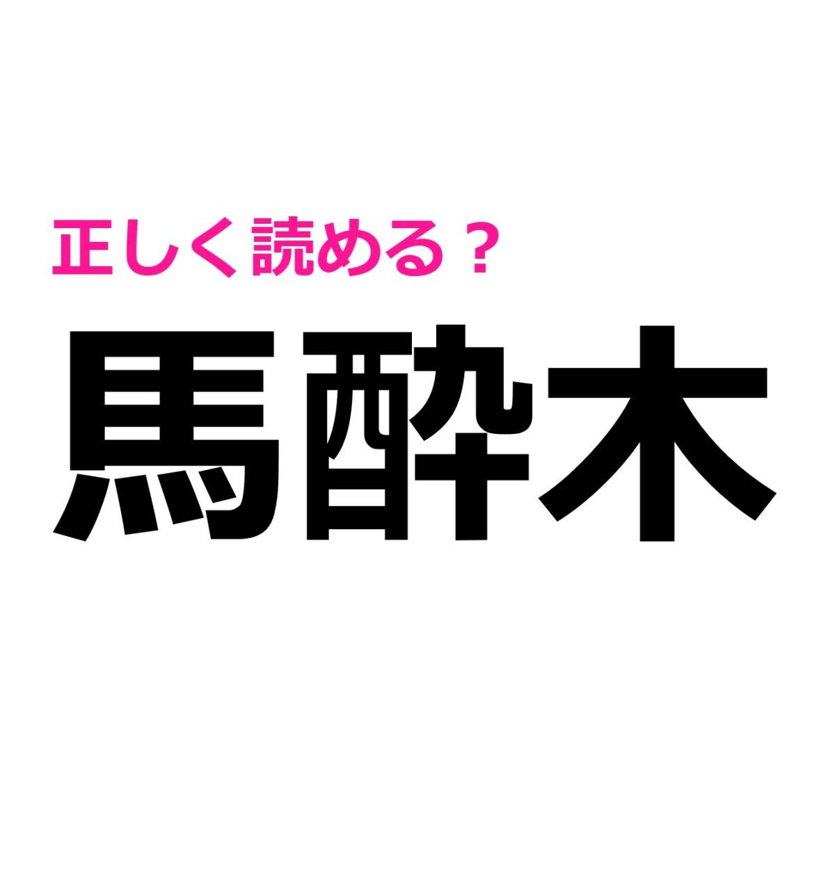 馬酔木
