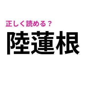  陸蓮根 