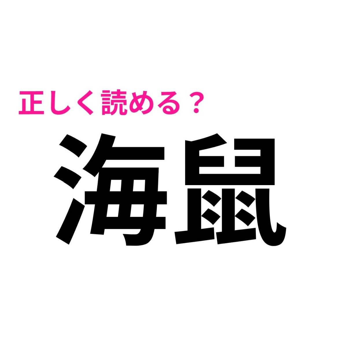 海鼠