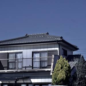  住宅街に建つ二階建ての一戸建て住宅 