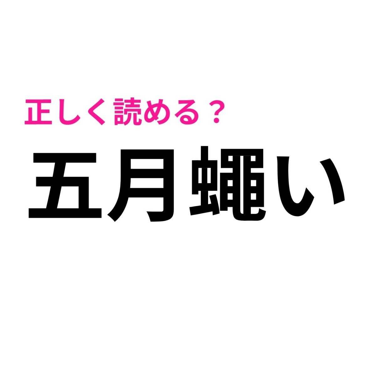 五月蠅い