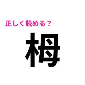 5秒で読めた人、トップレベルでIQ高いじゃん。正答率が低い漢字9選