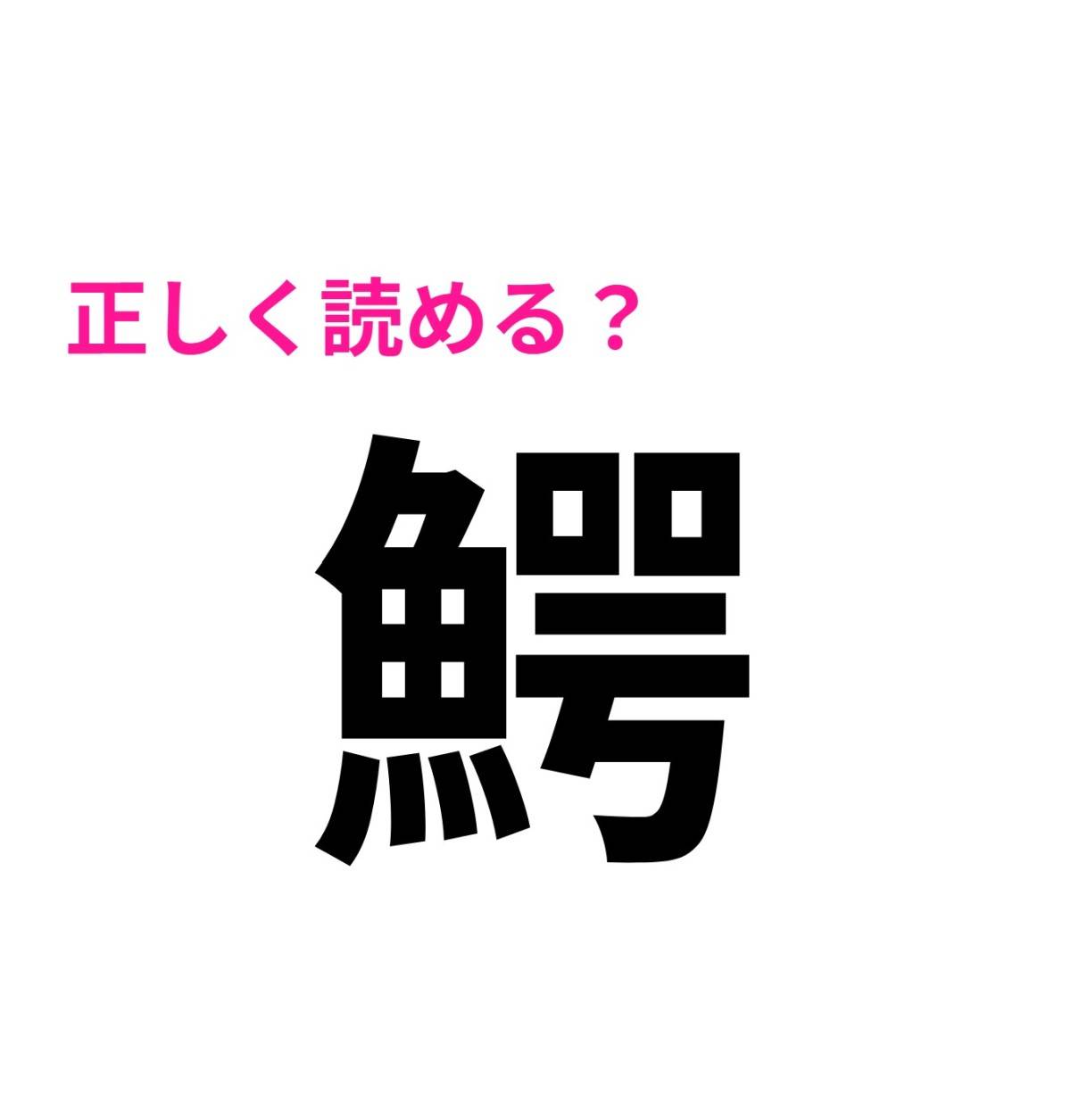 鰐
