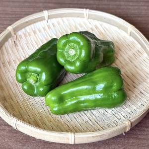 もはや週5で作ってる。切って炒めるだけの「ピーマン」の超簡単レシピ