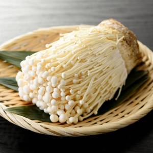  えのき 
