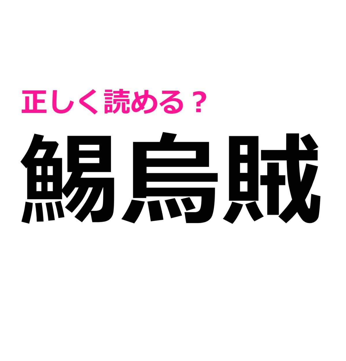 鯣烏賊