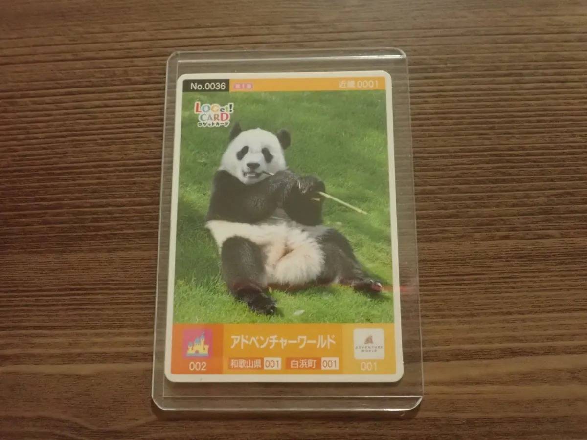 DAISO(ダイソー)：硬質カードケース(UV90%カット、横型、B8サイズ、3枚)