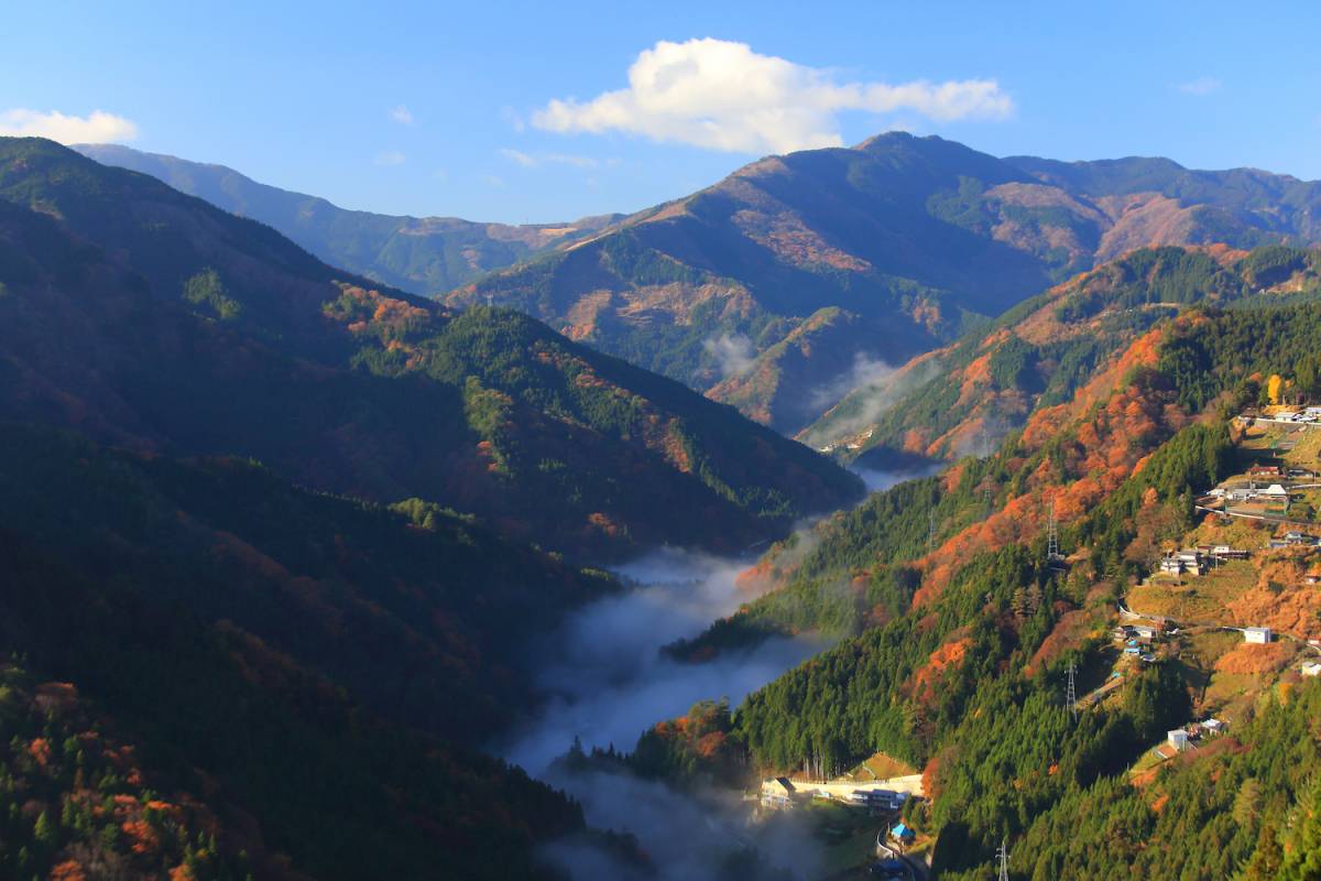 徳島県祖谷