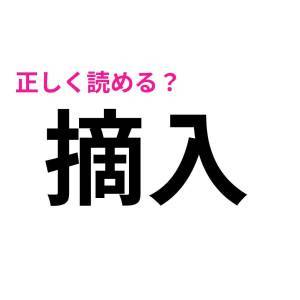  摘入 