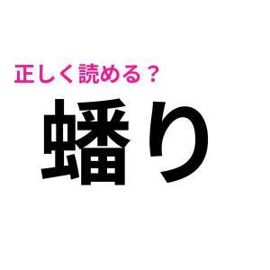  蟠り 
