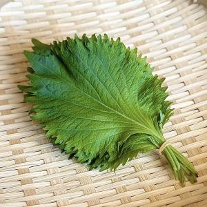  大葉 