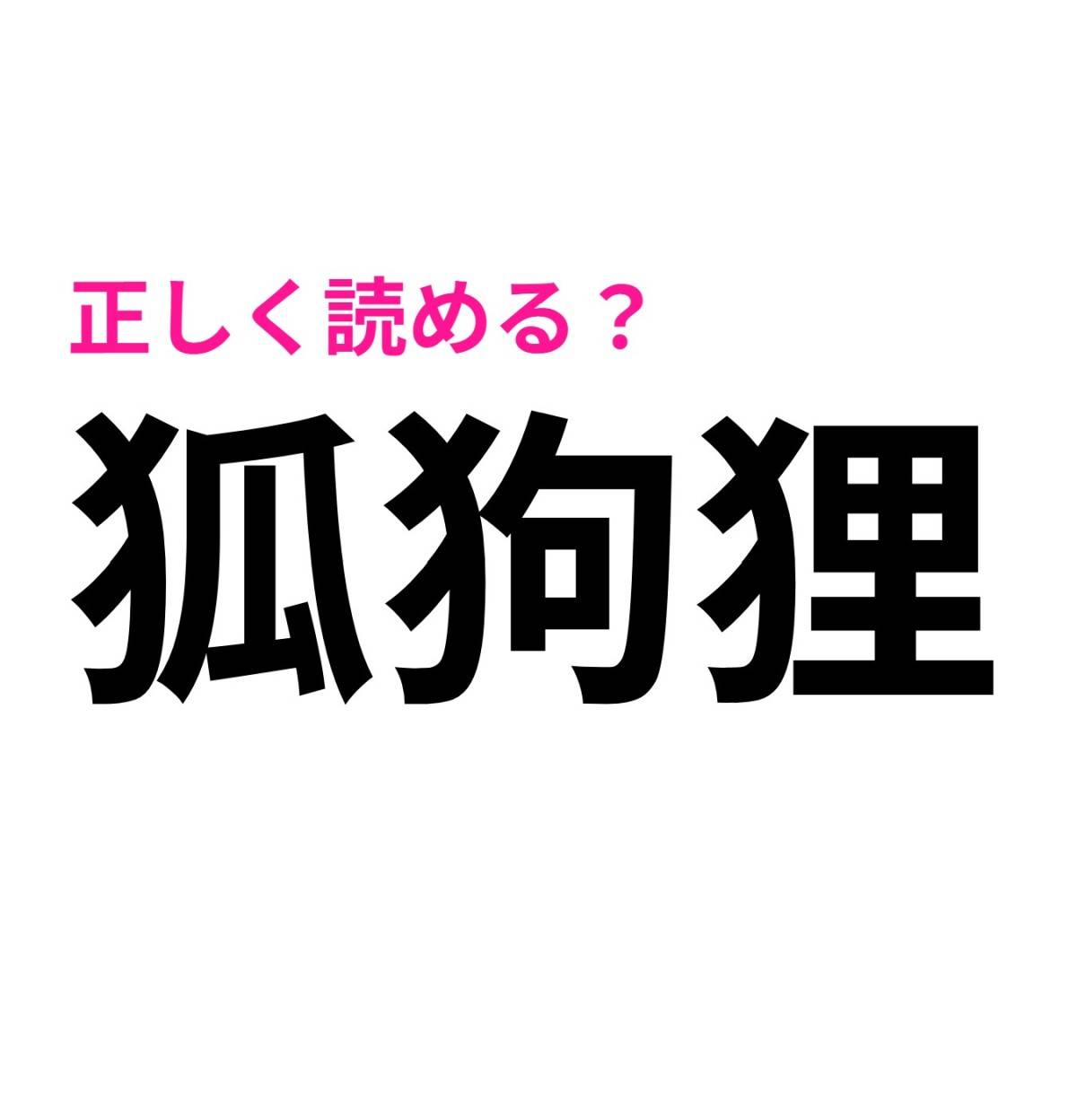 狐狗狸