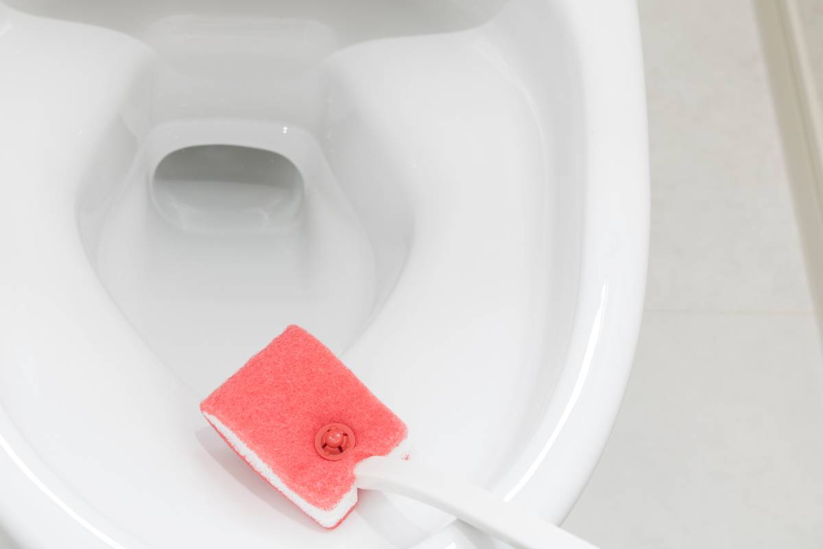 トイレ　開運　妨げる　トイレブラシ　不衛生