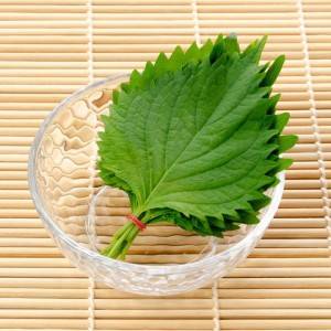 ビールが進んでしょうがない。ほぼ切って和えるだけの「大葉」のレシピ