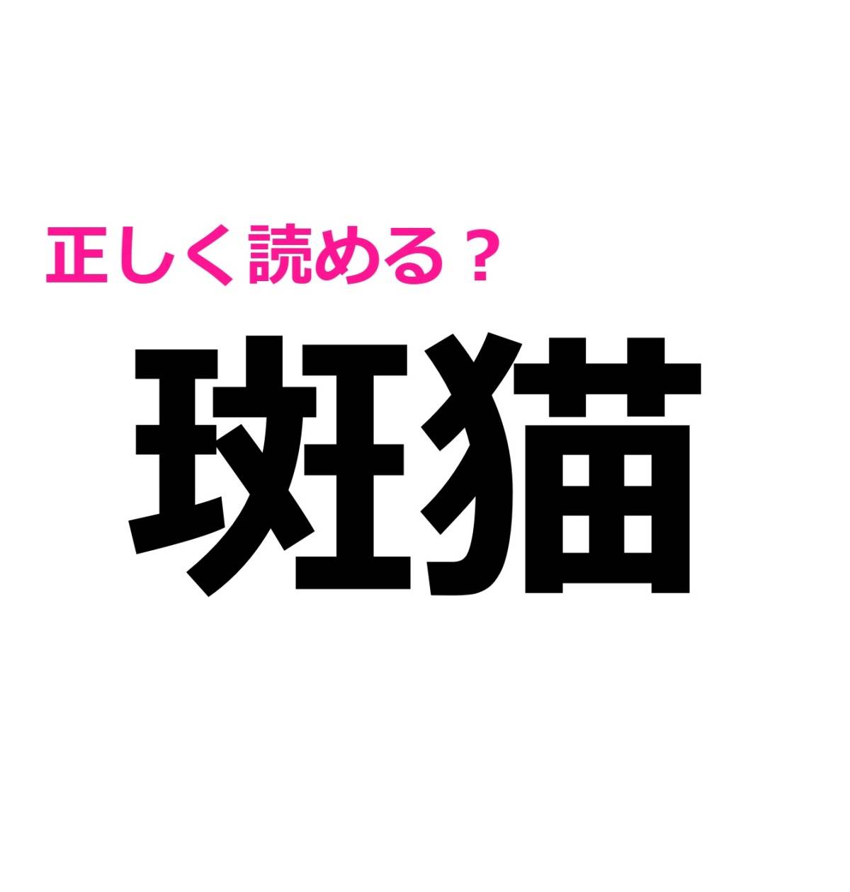 斑猫
