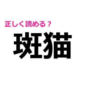 速答できた人、トップレベルで頭いいって。読める人が少ない漢字7選