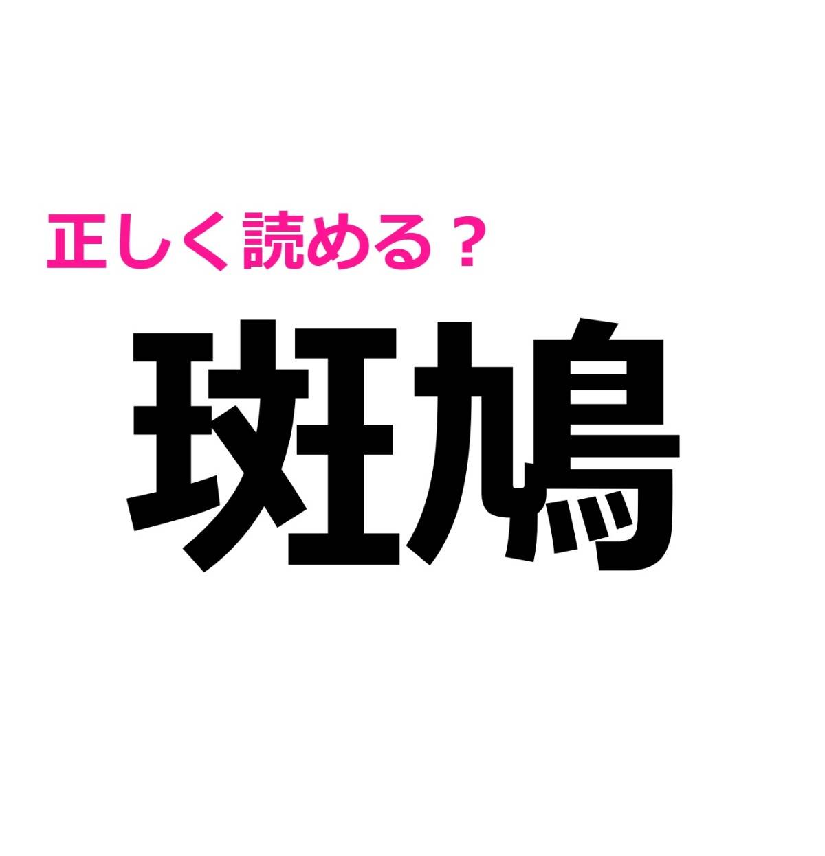 斑鳩