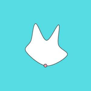  「隠れ嘘つき度」が分かる診断 