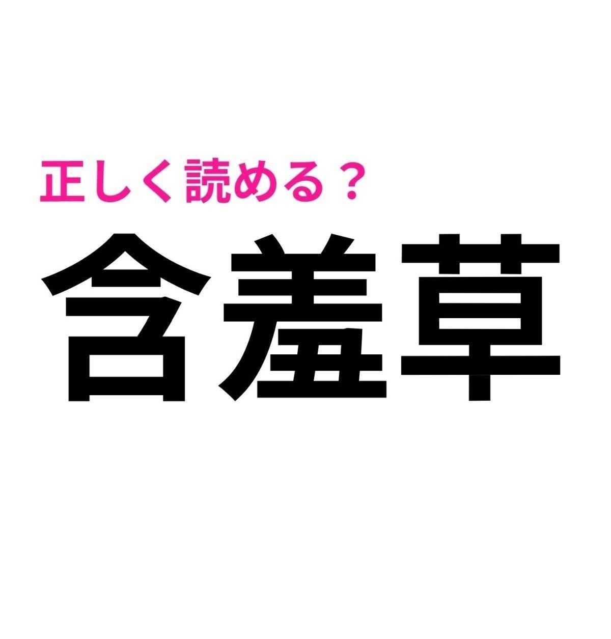 含羞草