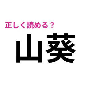 しれっと読めた人、ハンパなくIQ高いじゃん。正答率が低い漢字9選