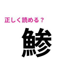  鯵 