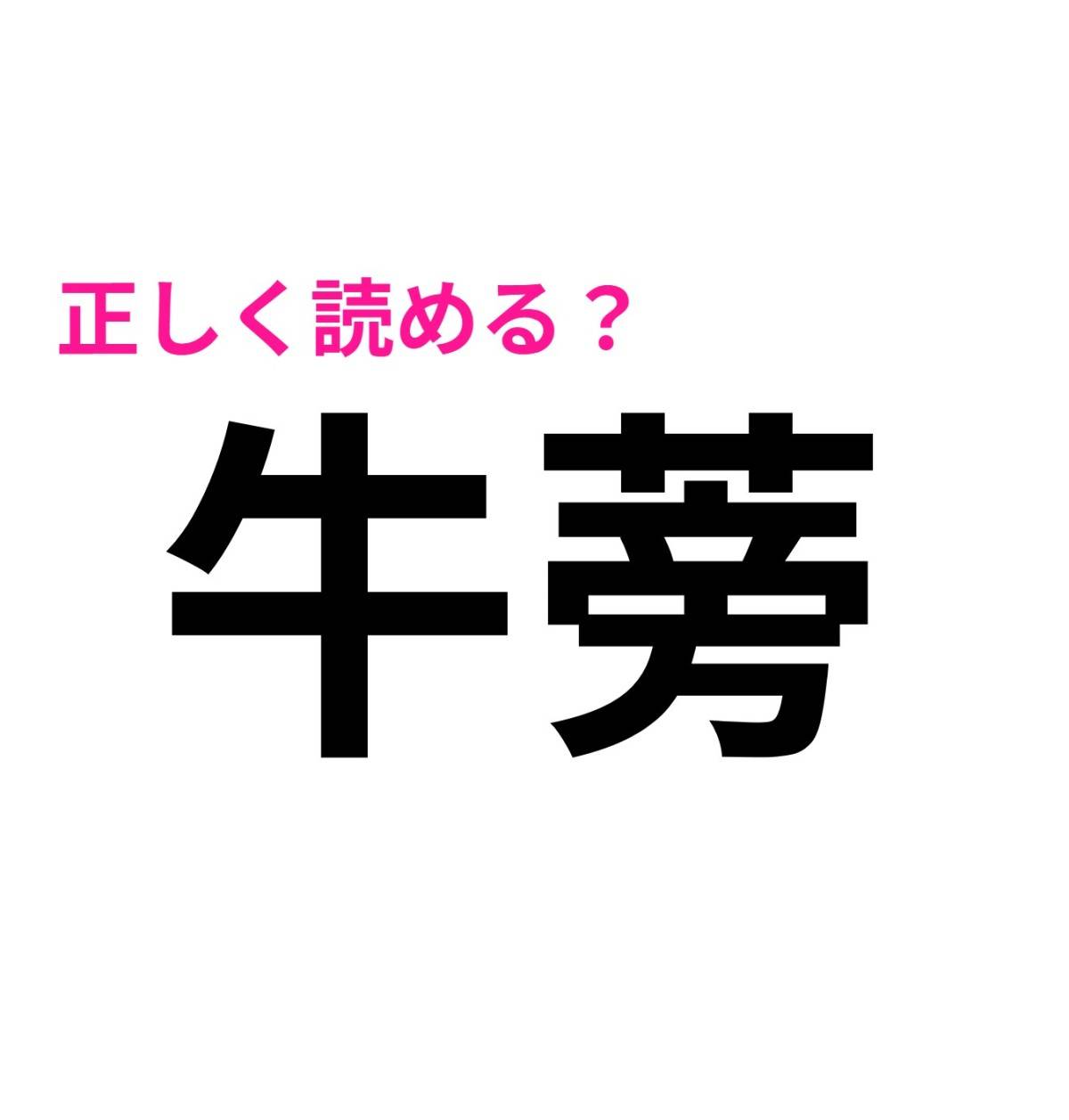 牛蒡