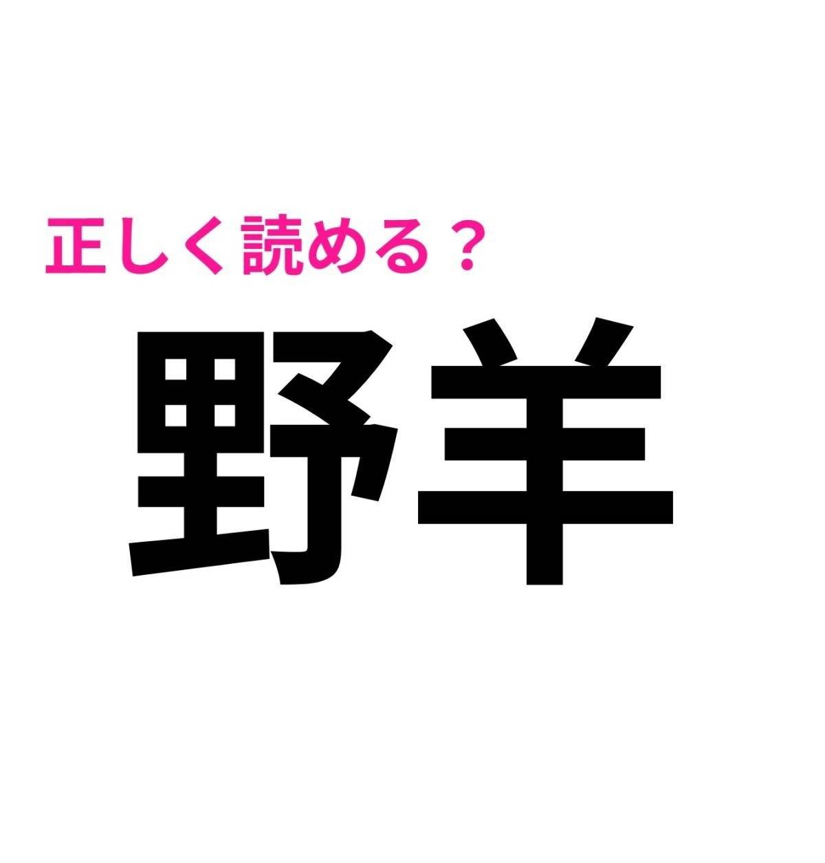 野羊