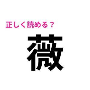  薇 