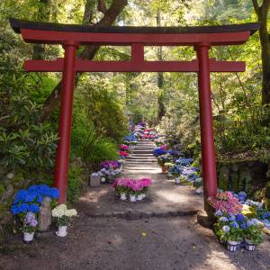 大大大吉日【7月3日(金)】が到来！ただし注意すべきNG行動も？