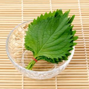 この発想はなかったわ……。5分あればできる「大葉」の超簡単レシピ