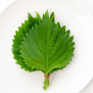 最近コレばっかり作ってる……。5分でできる「大葉」の超簡単レシピ