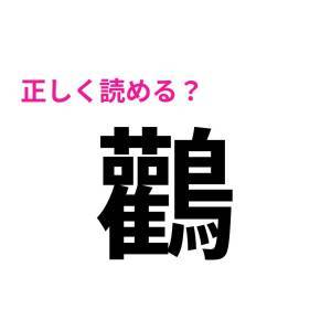  鸛 