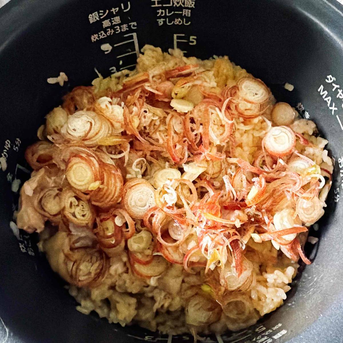 JAグループ公式の「愛知県「みょうが飯」JA愛知東女性部」のレシピ