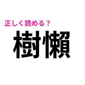  樹懶 